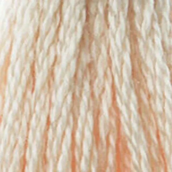 Ață pentru broderie DMC Mouliné (împărțit, 6 fire), 8 m - 363-951, Tawny - LT