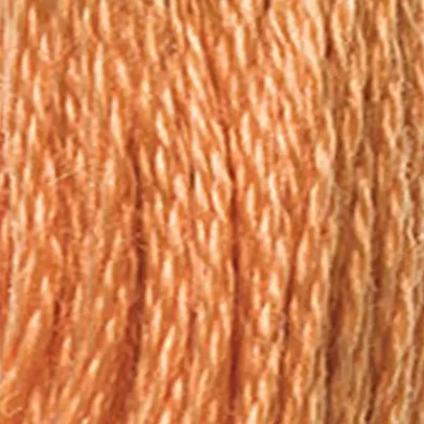 Ață pentru broderie DMC Mouliné (împărțit, 6 fire), 8 m - 366-721, Orange Spice - MED