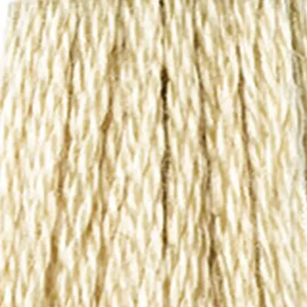 Ață pentru broderie DMC Mouliné (împărțit, 6 fire), 8 m - 419-738, Tan - VY LT