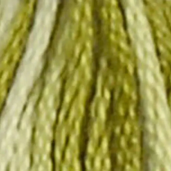 Ață pentru broderie DMC Mouliné (împărțit, 6 fire), 8 m - 493-94, Variegated - Khaki Green