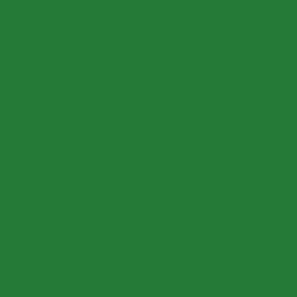Vopsea spray acrilica, EVOLUTION lucioasa, 400 ml - RAL6010 grass green