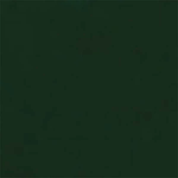 Pentart spray vopsea textil , 50 ml - verde pin