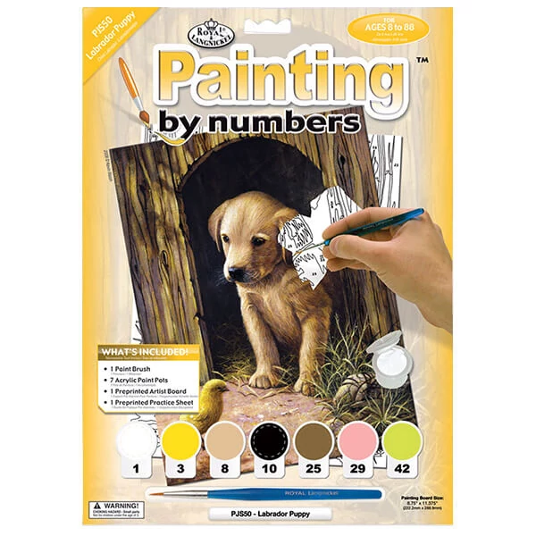 Set de colorat după numere, culori acrilice+pensulă, 22x30 cm - catelus Labrador
