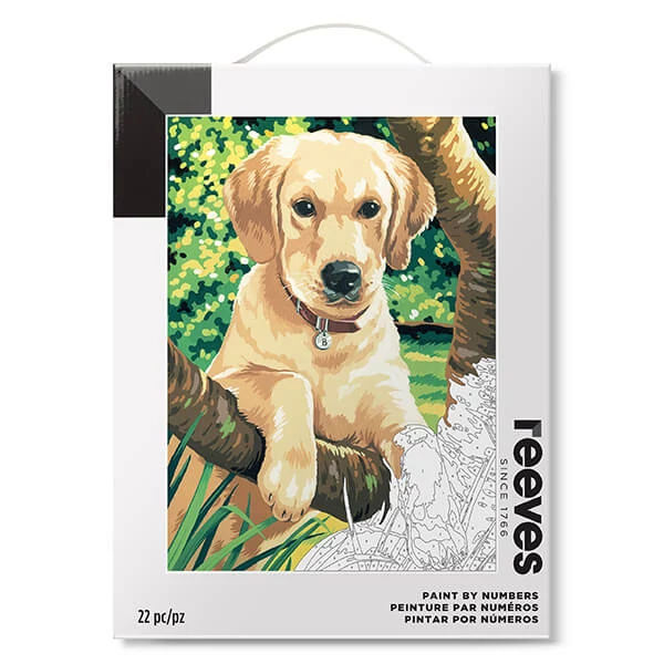 Reeves set pictură pe numere, 30x40 cm - Labrador