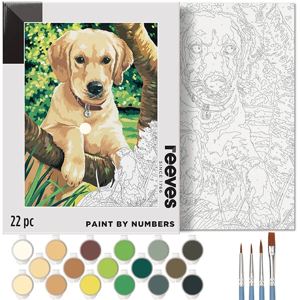 Reeves set pictură pe numere, 30x40 cm - Labrador