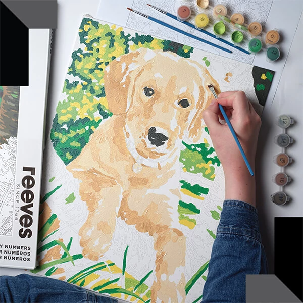 Reeves set pictură pe numere, 30x40 cm - Labrador