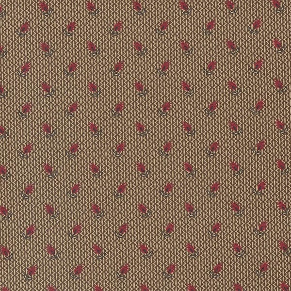 Material patchwork  - Moda - Florence's Fancy by Betsy Chutchian 31664-18