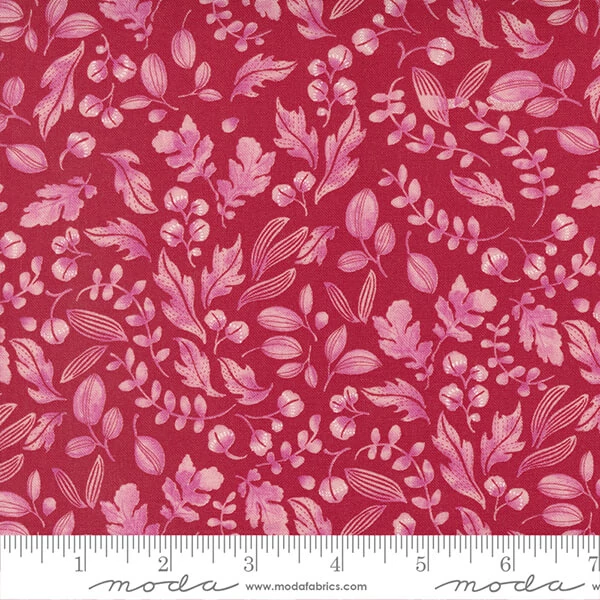 Material patchwork  - Moda - Wild Blossom by Robin Pickens 48736-19