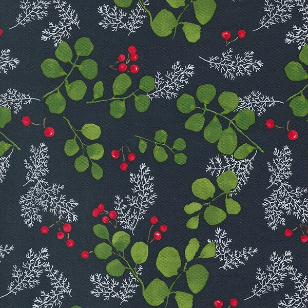 Material Patchwork - Moda - Winterly de Robin Pickens 48764-19