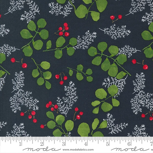 Material Patchwork - Moda - Winterly de Robin Pickens 48764-19