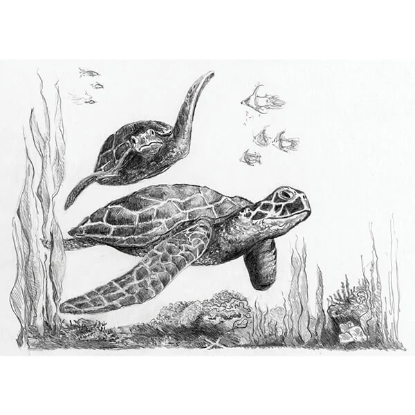 Mini set de desen grafic cu unelte, 12x18 cm - Broaște țestoase de mare