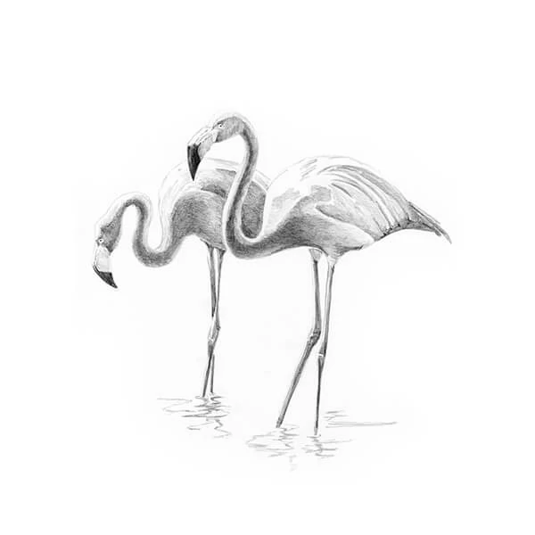 Mini set de desen grafic cu unelte, 12x18 cm - Flamingos