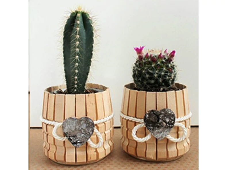 Ghiveci pentru cactus din cuiere de lemn