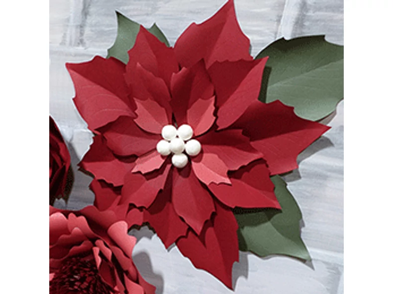 Realizarea de poinsettii gigantice din hârtie originală