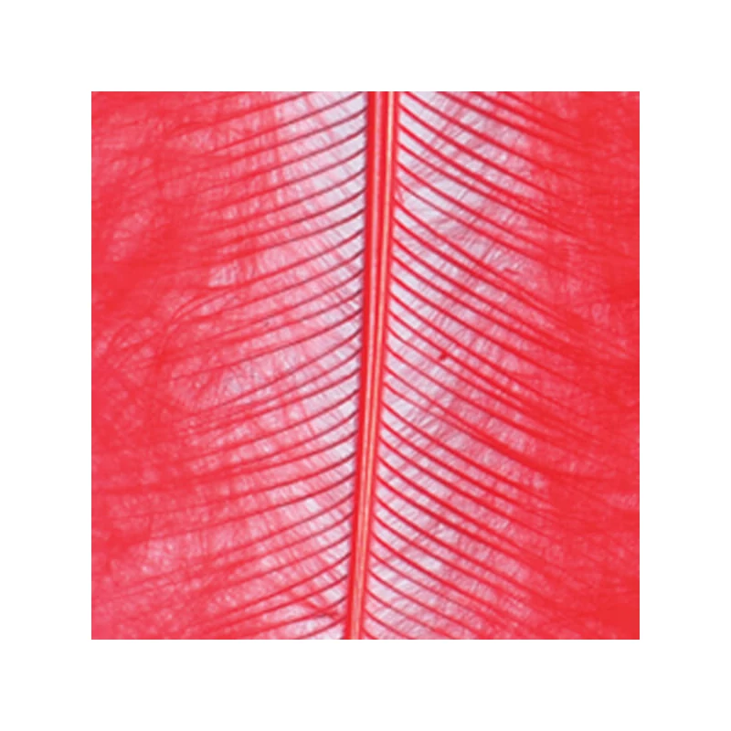 Pene marabu  - roșu, 8-10 cm, 22 buc/pachet