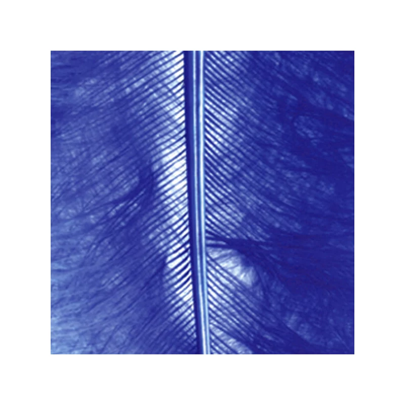 Pene marabu  - albastru inchis, 8-10 cm, 22 buc/pachet