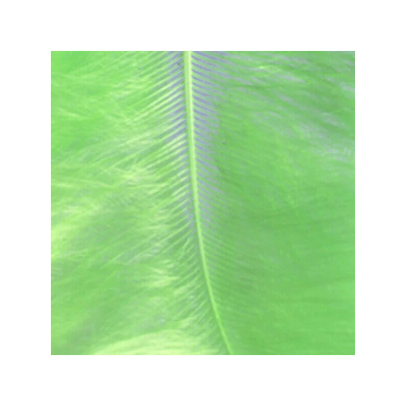 Pene marabu  - verde deschis, 8-10 cm, 22 buc/pachet