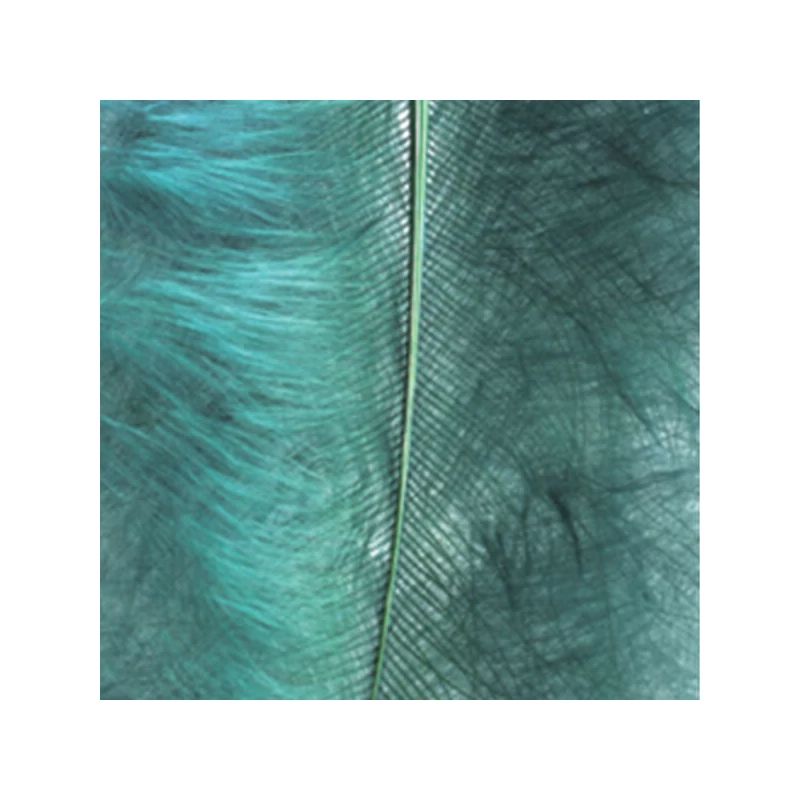 Pene marabu  - verde inchis, 8-10 cm, 22 buc/pachet