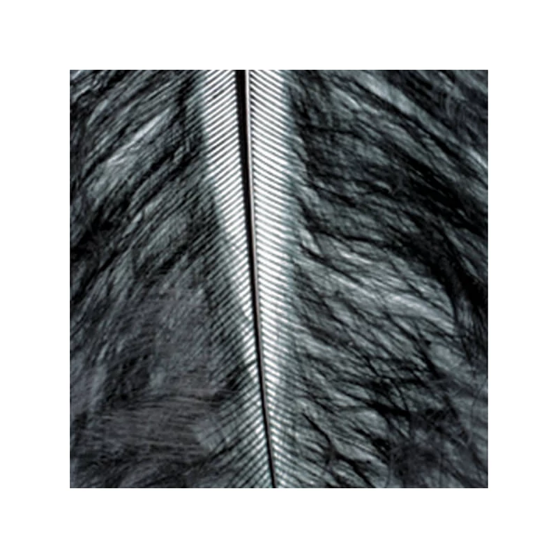 Pene marabu  - negru, 8-10 cm, 22 buc/pachet
