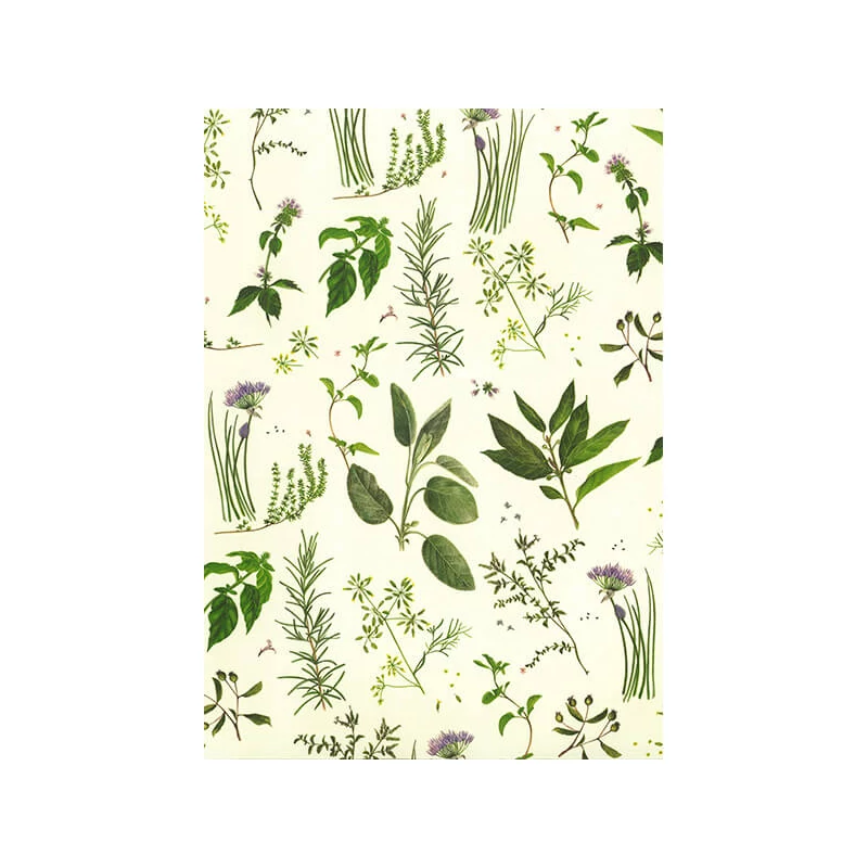 Hârtie de decoupage Tassotti - ierburi aromatice