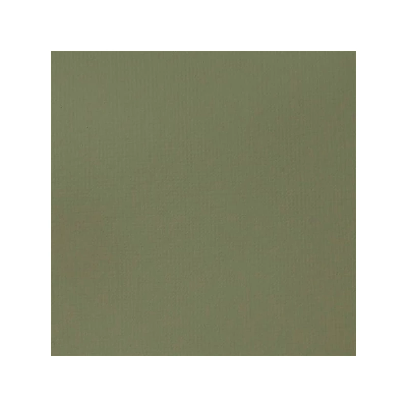 Liquitex Basics vopsea acrilică, 118 ml - 205, green gray