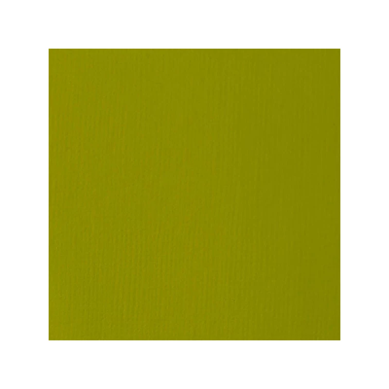 Liquitex Basics vopsea acrilică, 118 ml - 218, light olive green