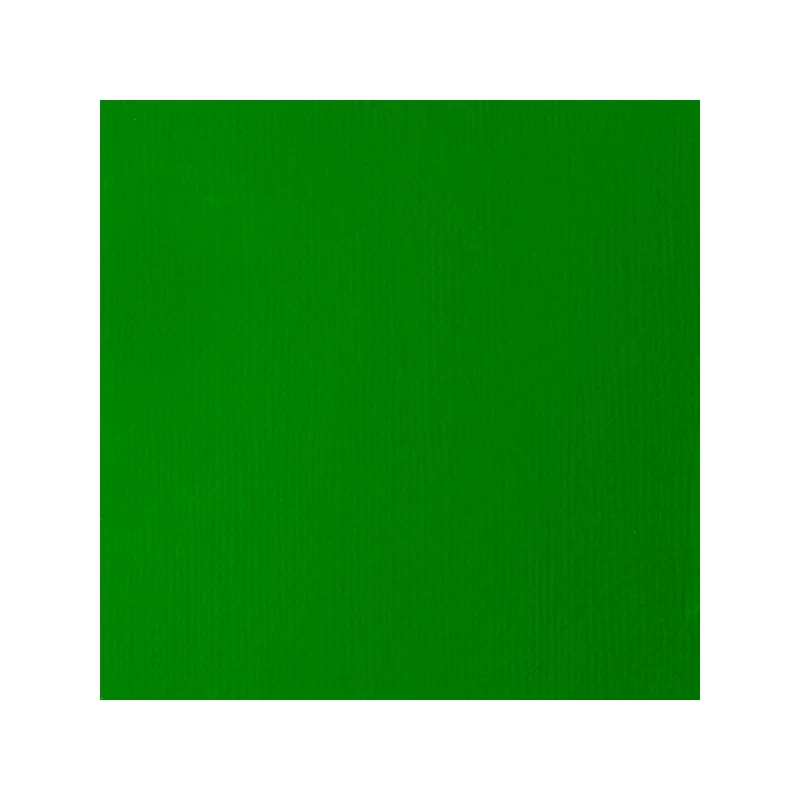 Liquitex Basics vopsea acrilică, 118 ml - 312,  green light permanent