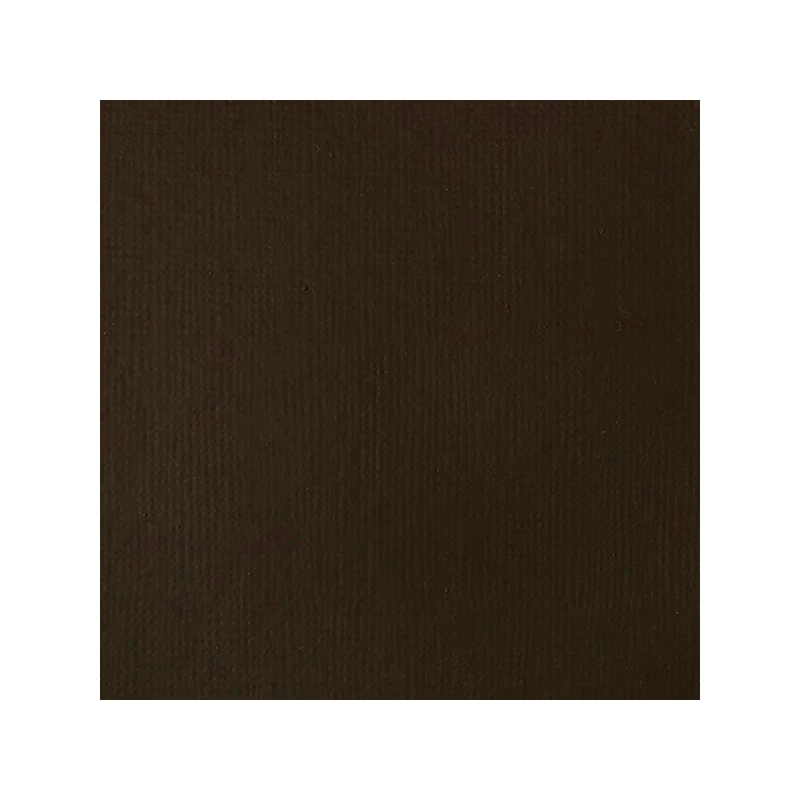 Liquitex Basics vopsea acrilică, 118 ml - 331, raw umber