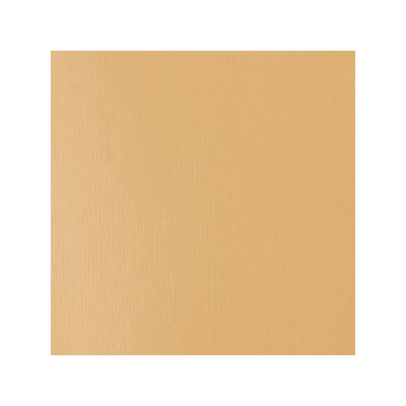 Liquitex Basics vopsea acrilică, 118 ml - 434, unbleached titanium