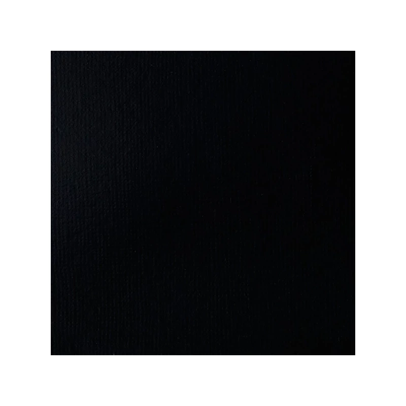Liquitex Basics vopsea acrilică, 946 ml - 244, ivory black