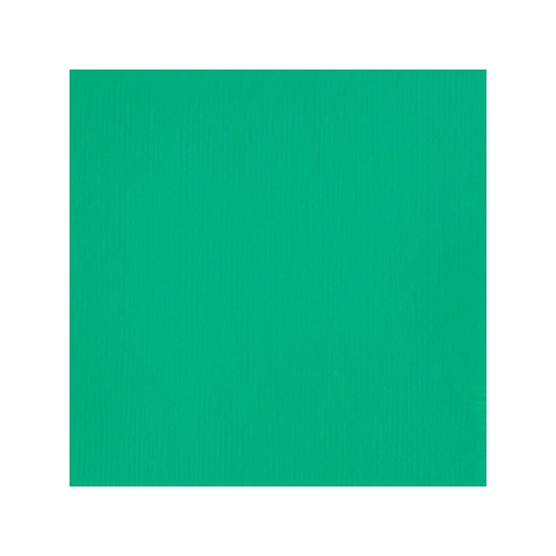 Liquitex Basics vopsea acrilică, 946 ml - 660, bright aqua green