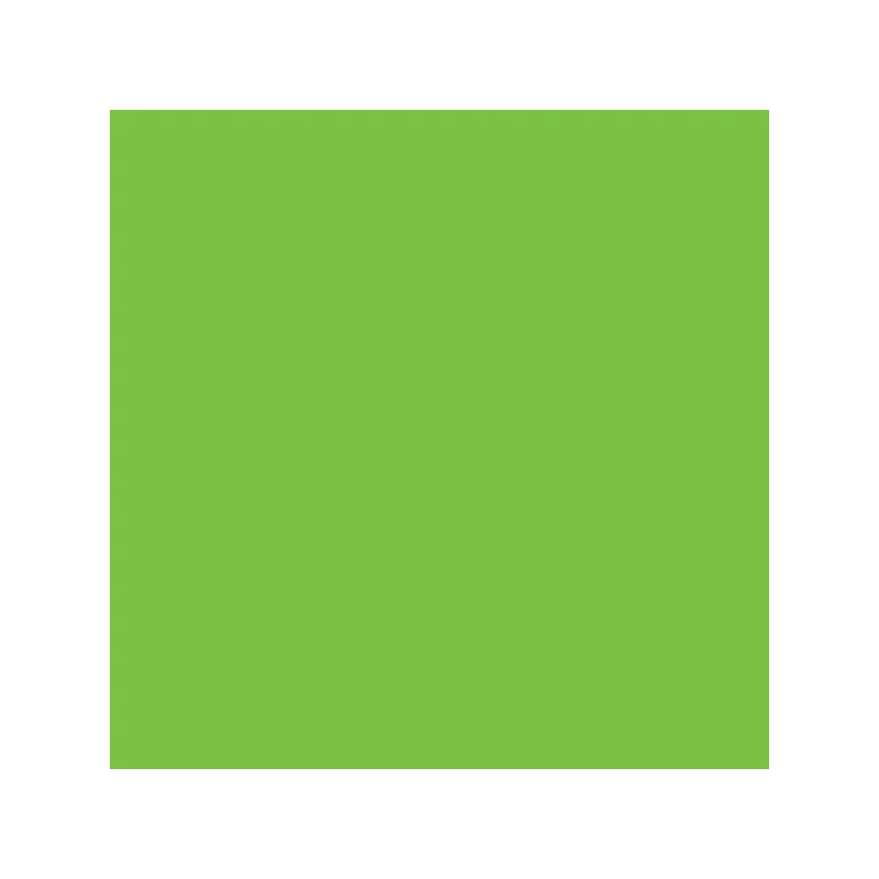 Vopsea acrilică Pentart mată , 50 ml - verde mar