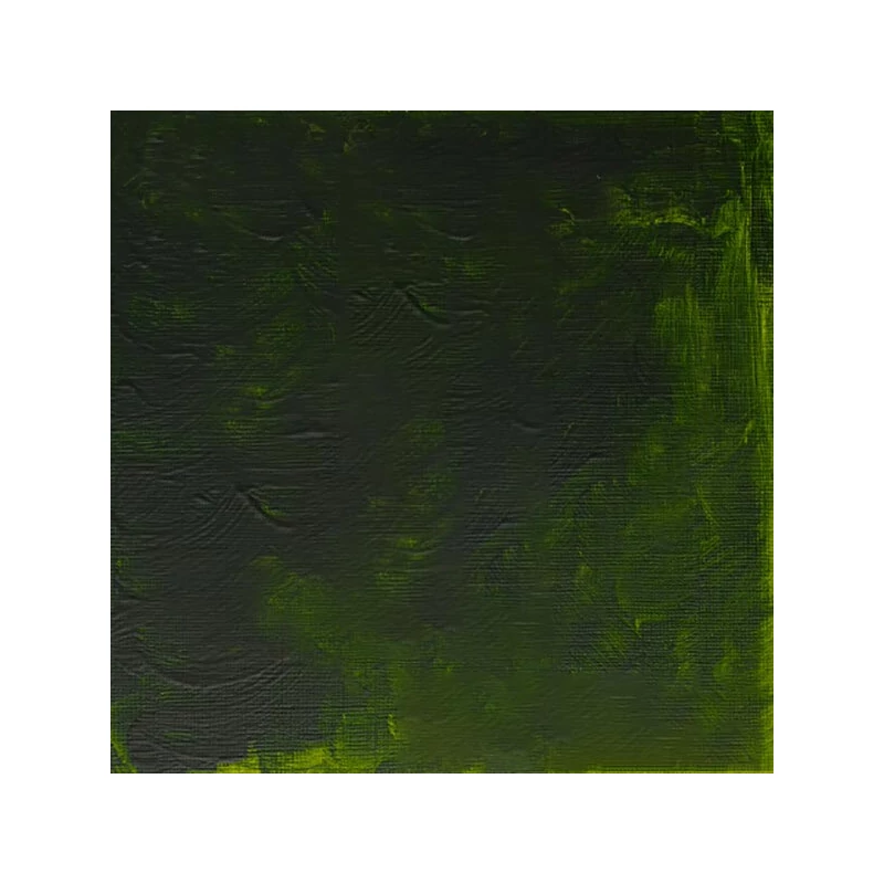 Winsor&Newton Griffin Alkyd Culori ulei, 37 ml - 503, permanent sap green