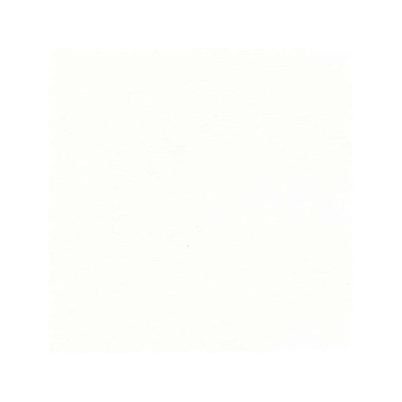 Hârtie Hahnemühle Ingres, 100 g, 48x62,5 cm - 250 bright white