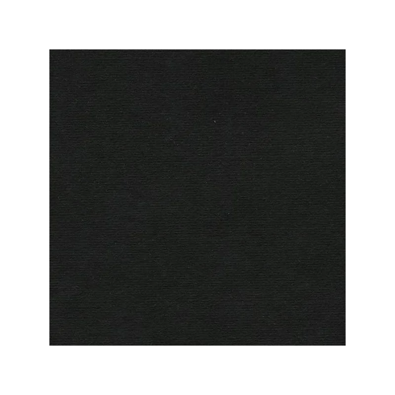 Hârtie Hahnemühle Ingres, 100 g, 48x62,5 cm - 261 black