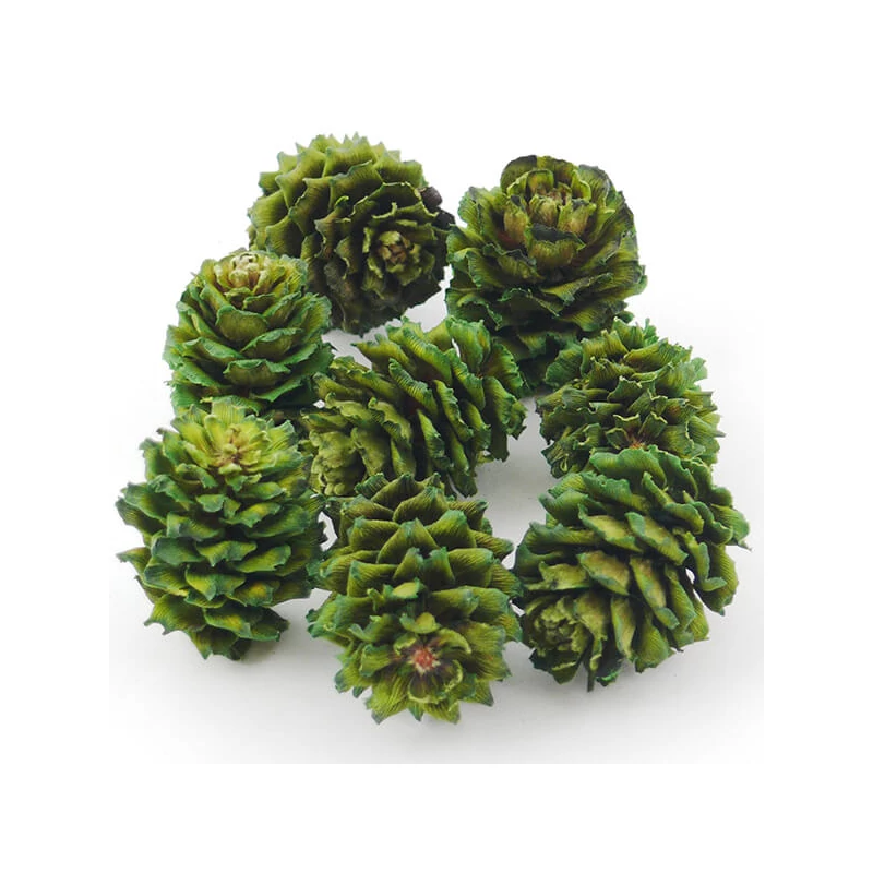 Cultură uscată - con Salignum, verde