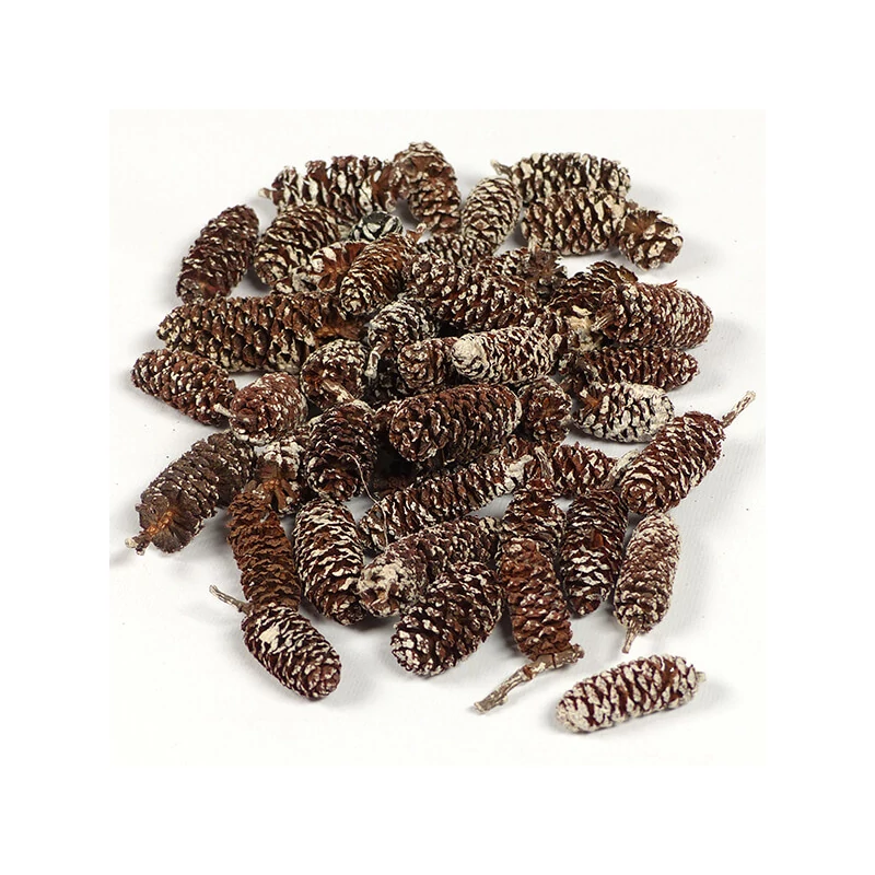 Plante uscate - Arin, zăpadă, 30 g