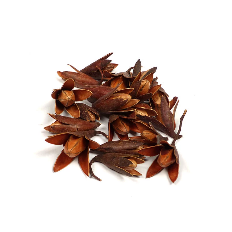 Plante uscate - Crin stea, maro natural, 10 g