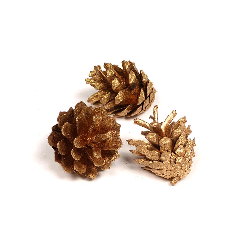 Plante uscate - Con de pin, sclipici auriu metalic, 3 buc