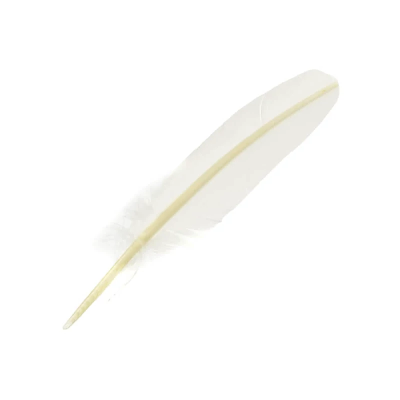 J. Herbin,stilou pană de gâscă pentru cerneală, 21 cm - alb