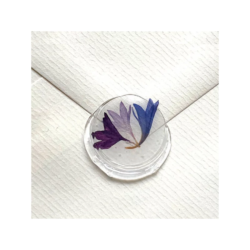 Petale de flori, uscate, J. Herbin - floare de colț, albastru-violet