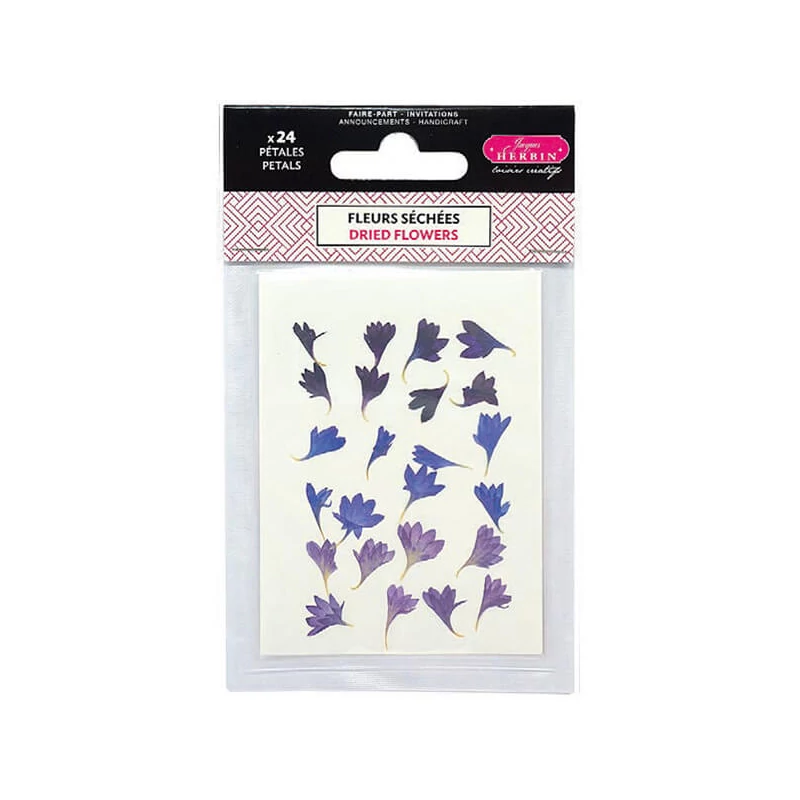 Petale de flori, uscate, J. Herbin - floare de colț, albastru-violet