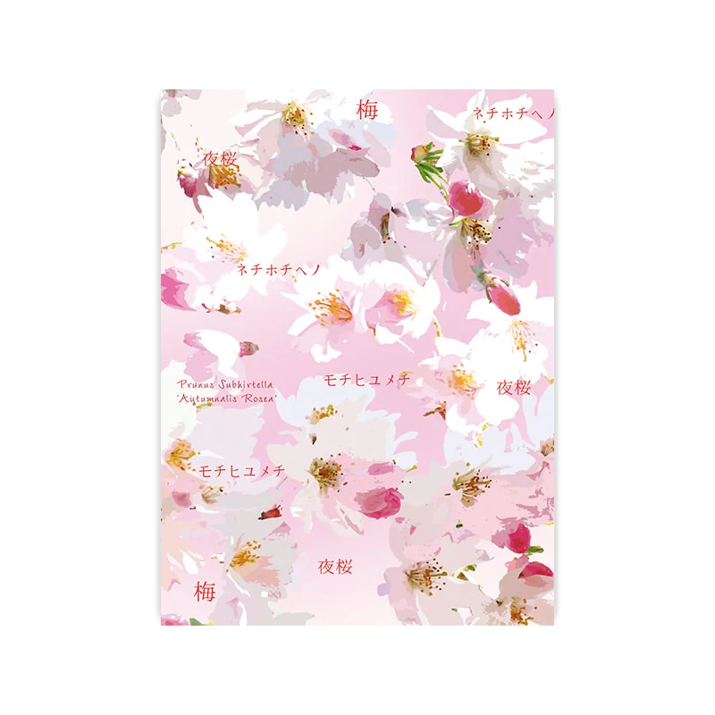 Hârtie transparentă, A4 - Hanami