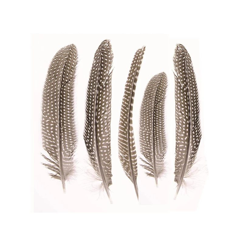 Pene de bibilică, 16-19 cm, 5 buc - naturale