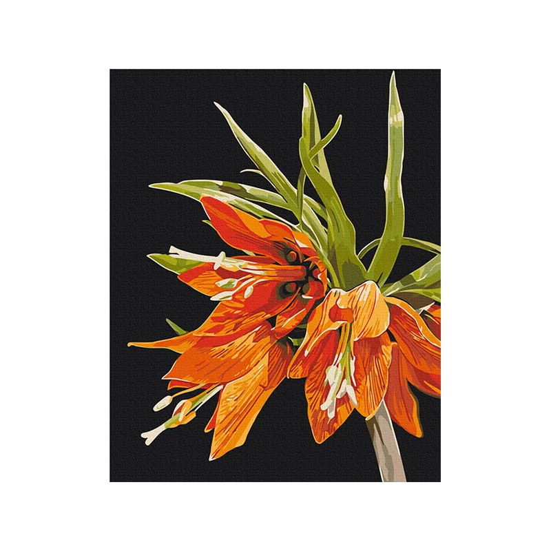 Set pictură pe numere, pe pânză întinsă 40x50 cm - Anastasiia Osmolovska: Fritillaria imperialis