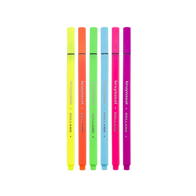 Bruynzeel Fineliner set pâslă cu ac - set de 6, culori neon
