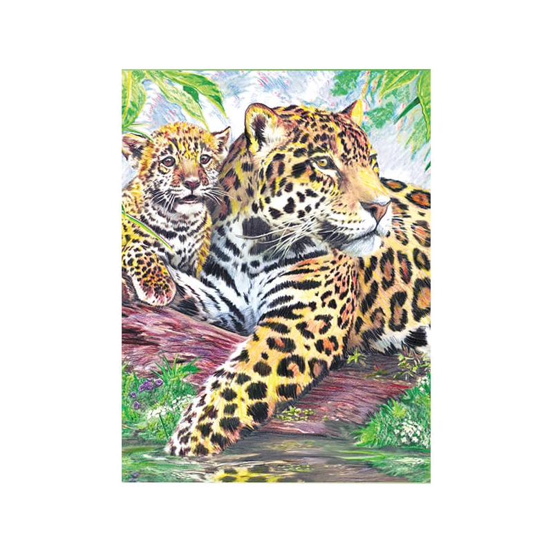 Set de colorat după numere, creioane colorate+ascuțitoare, 22x30 cm - Jaguar