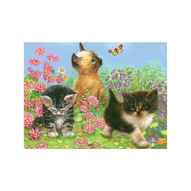 Set de colorat după numere, creioane colorate+ascuțitoare, 22x30 cm - Pisici