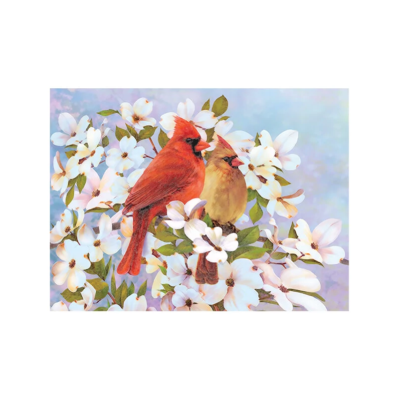 Set de colorat după numere, creioane colorate+ascuțitoare, 22x30 cm - Măcăleandre