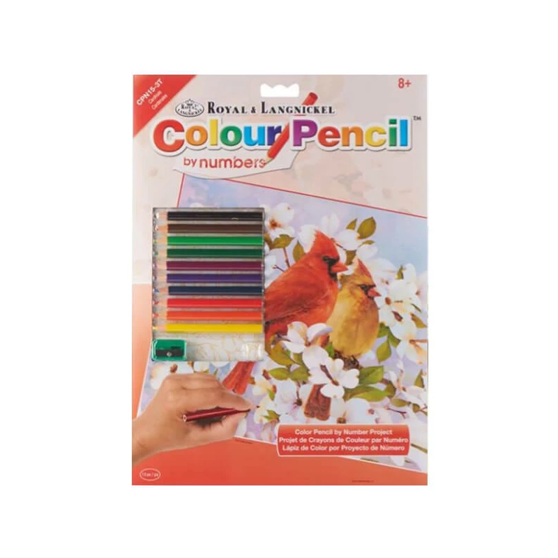 Set de colorat după numere, creioane colorate+ascuțitoare, 22x30 cm - Măcăleandre